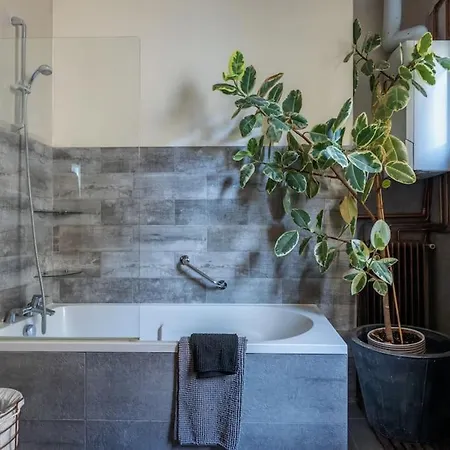 Boutique Saint Germain Appartement Paris
