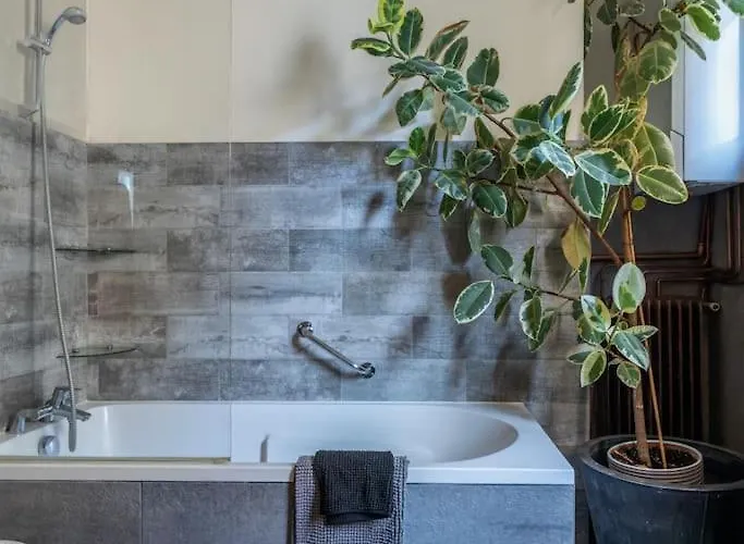 Boutique Saint Germain Appartement Paris